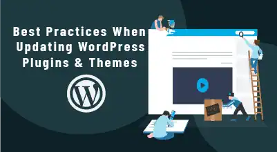WP Best Practices When Updating